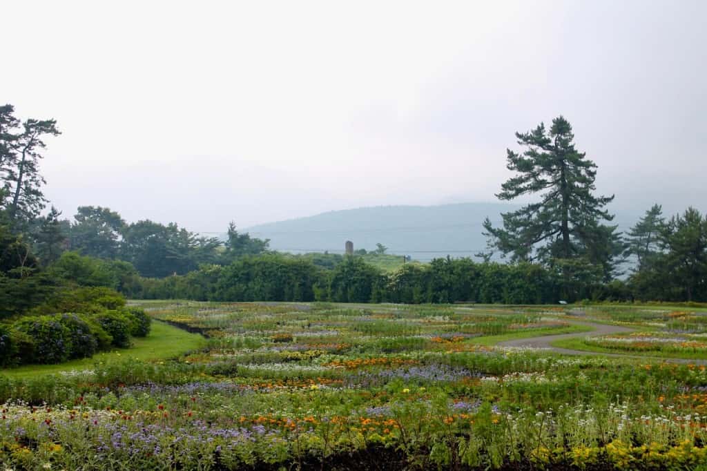 Aso Kuju national park in Rita prefecture, Kyushu, Japan.