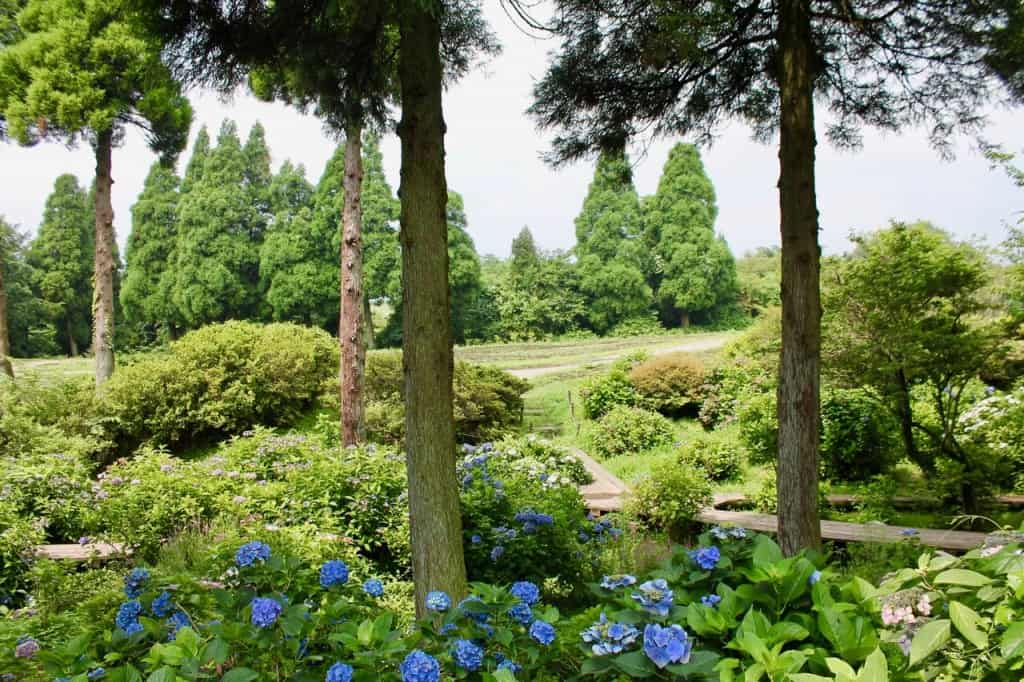 Aso Kuju national park in Rita prefecture, Kyushu, Japan.