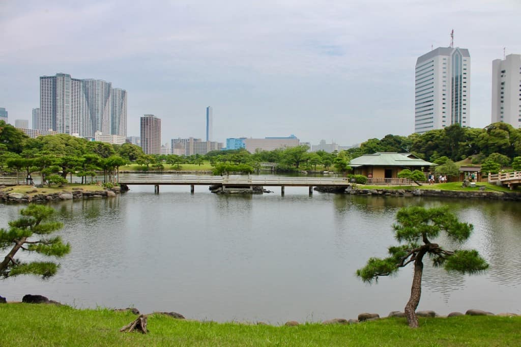 Visiting a Japanese Garden in the Summer: What Should We Consider?