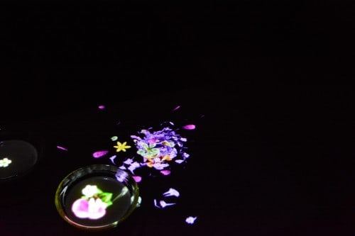 The Exhibition "a Forest Where Gods Live" produced by Teamlab at Mifuneyama rakuen garden at Takeo onsen, Saga.