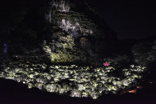 The Exhibition "a Forest Where Gods Live" produced by Teamlab at Mifuneyama rakuen garden at Takeo onsen, Saga.