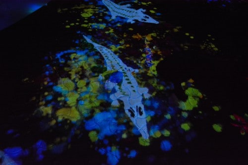 The Exhibition "a Forest Where Gods Live" produced by Teamlab at Mifuneyama rakuen garden at Takeo onsen, Saga.