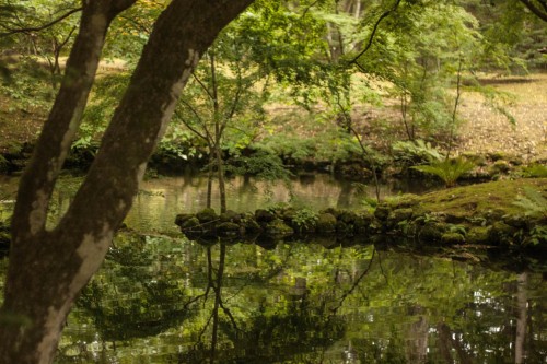 Kumoba Pond, Karuizawa, Japan.