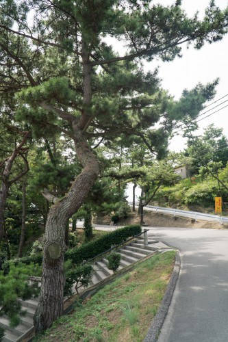 Mt Washu in Seto Inland Sea National Park