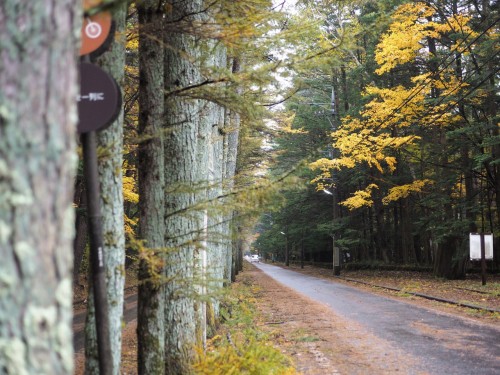 Karuizawa Cycling in the mountain resort, only one hour from Tokyo by Shinkansen.