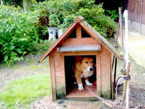Farmer's stay in Bungotakada, Oita prefecture, Kyushu, Japan.