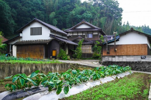 Kominka Gallery Mikura: An Artsy Farmer’s Homestay in Usa, Oita