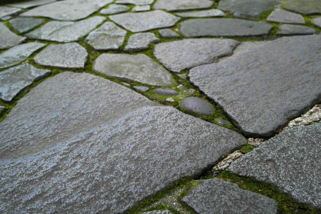 detail of stone walkway in Japan