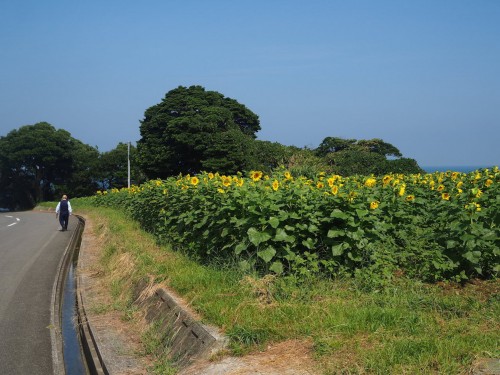 The rural scenery in Bungotakata, Oita, Kyushu