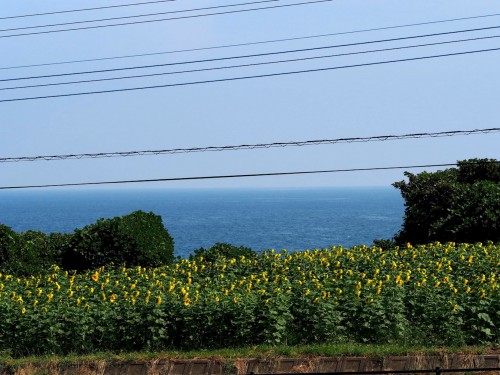 The rural scenery in Bungotakata, Oita, Kyushu