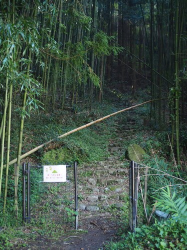 The rural scenery in Bungotakata, Oita, Kyushu