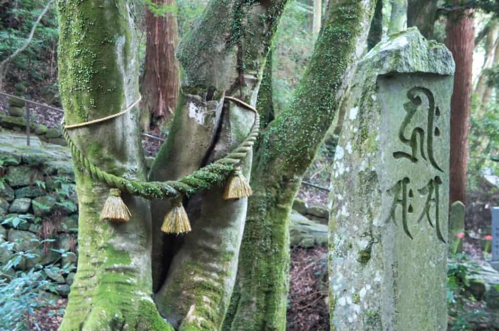 Kunisaki’s Rokugo Manzan: The Sacred Mountain
