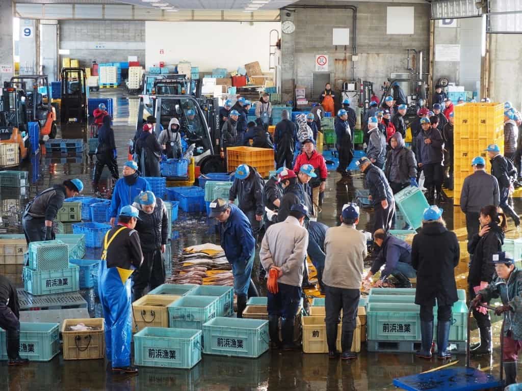 Himi: a Small Fishing Port in Toyama Bay