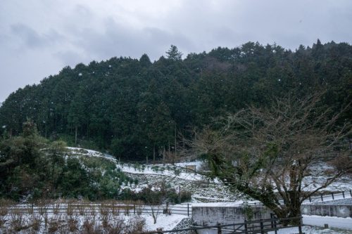 Shiraino Waterfall, the ice cascade in winter, Toon City, Ehime Prefecture.