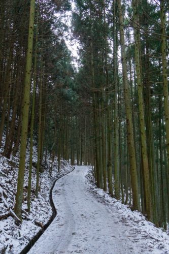 Shiraino Waterfall, the ice cascade in winter, Toon City, Ehime Prefecture.