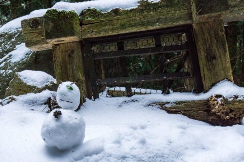Shiraino Waterfall, the ice cascade in winter, Toon City, Ehime Prefecture.
