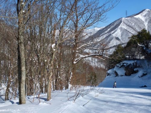  Skiing at Naeba, One of Japan's Top Ski Resorts, Niigata, Powder snow, Japan.