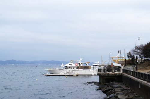 Enoshima: A Hotspot for Sailing Just an Hour from Tokyo