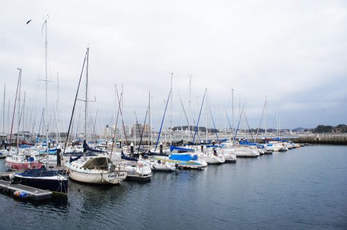 Enoshima: A Hotspot for Sailing Just an Hour from Tokyo