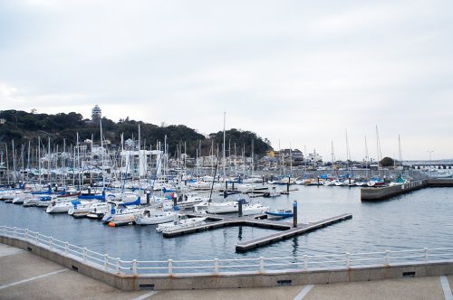 Enoshima: A Hotspot for Sailing Just an Hour from Tokyo