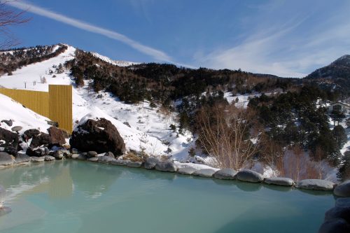 Staying at the Manza Prince Hotel and enjoy skiing.