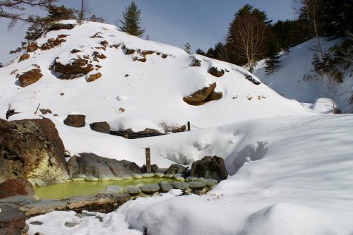 Staying at the Manza Prince Hotel and enjoy skiing.