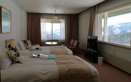 Staying at the Manza Prince Hotel and enjoy skiing.