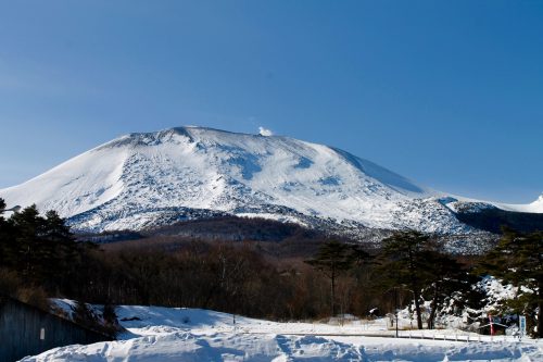Staying at the Manza Prince Hotel and enjoy skiing.