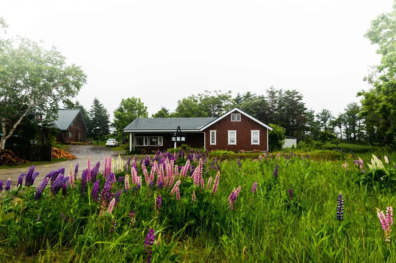 Koshimizu Town Northern Hokkaido Prefecture Local Craft Pottery Workshop Experience Japanese Ceramics 