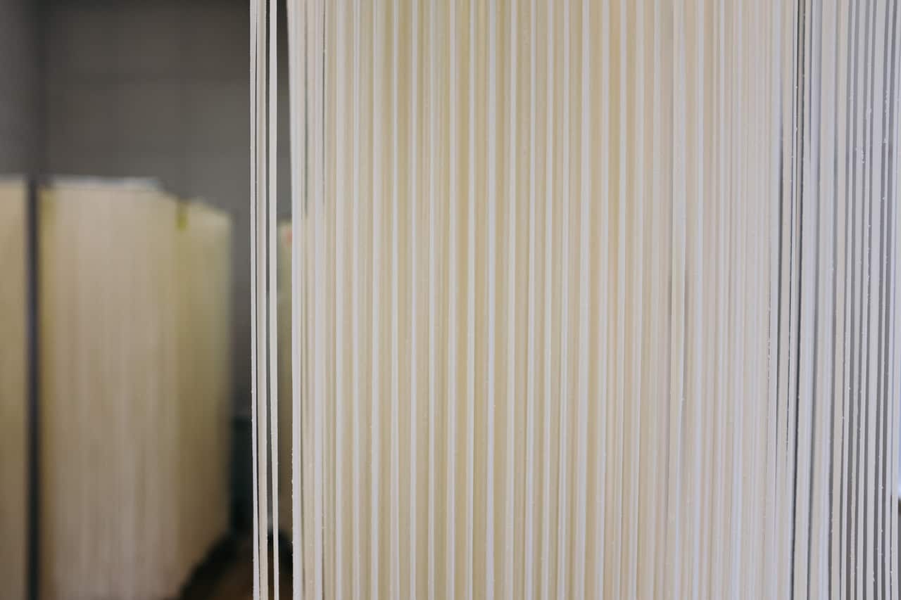 closeup of udon noodles in japan