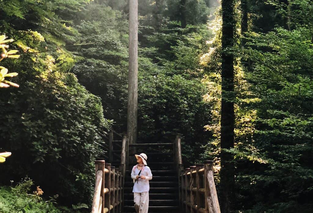 Summer in Toon: Mountain Trekking and Nagashi Somen Tasting