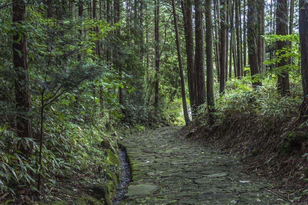 Hiking through the Nakasendo Trail from Nakatsugawa Post Town