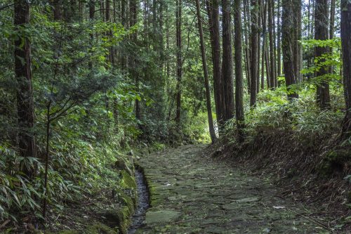 Hiking through the Nakasendo Trail from Nakatsugawa Post Town