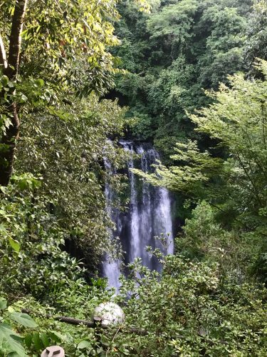 Discover Amagase Onsen in Hita: Stay in a Ryokan in Oita Prefecture, Kyushu, Japan.