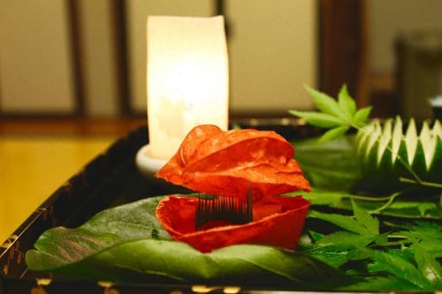 Discover Amagase Onsen in Hita: Stay in a Ryokan in Oita Prefecture, Kyushu, Japan.