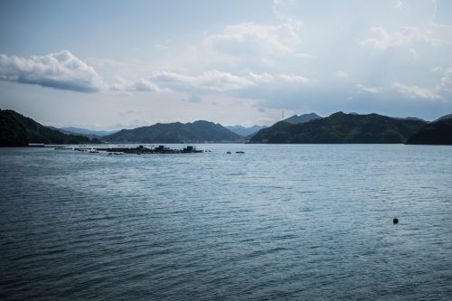 Point of View on the Reliefs of Ohnyujima Island, Oita Prefecture, Japan