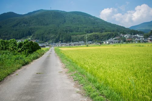 Rice fields and mountains near Yufuin, Oita Prefecture, Japan