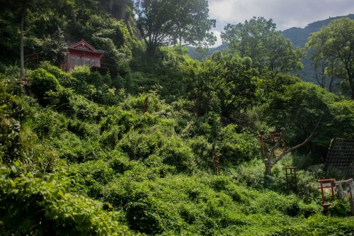 Shrines on Mount Yufudake near Yufuin, Oita Prefecture, Japan