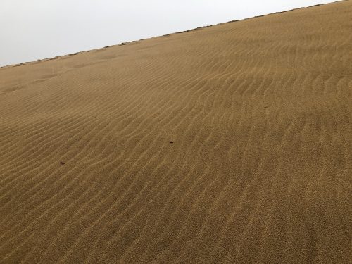 Tottori sand dunes in tottori prefecture along the sea of Japan.