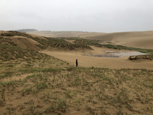 Tottori sand dunes in tottori prefecture along the sea of Japan.