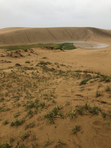 Tottori sand dunes in tottori prefecture along the sea of Japan.
