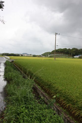 The oldest temple of Goto Islands: Myojoin Temple in Nagasaki, Kyushu, Japan.