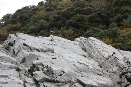 White cliffs of Oboke Gorge along the Yoshino River, Tokushima Prefecture.