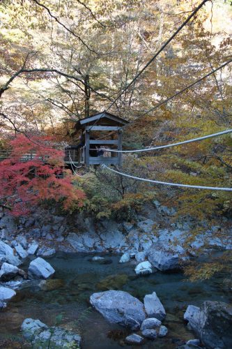 Experience the unique Wild Monkey bridge in Iya Valley, Tokushima.