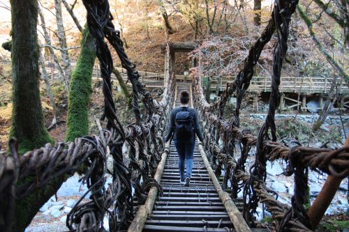 Crossing the vine suspension bridges of the Iya Valley.