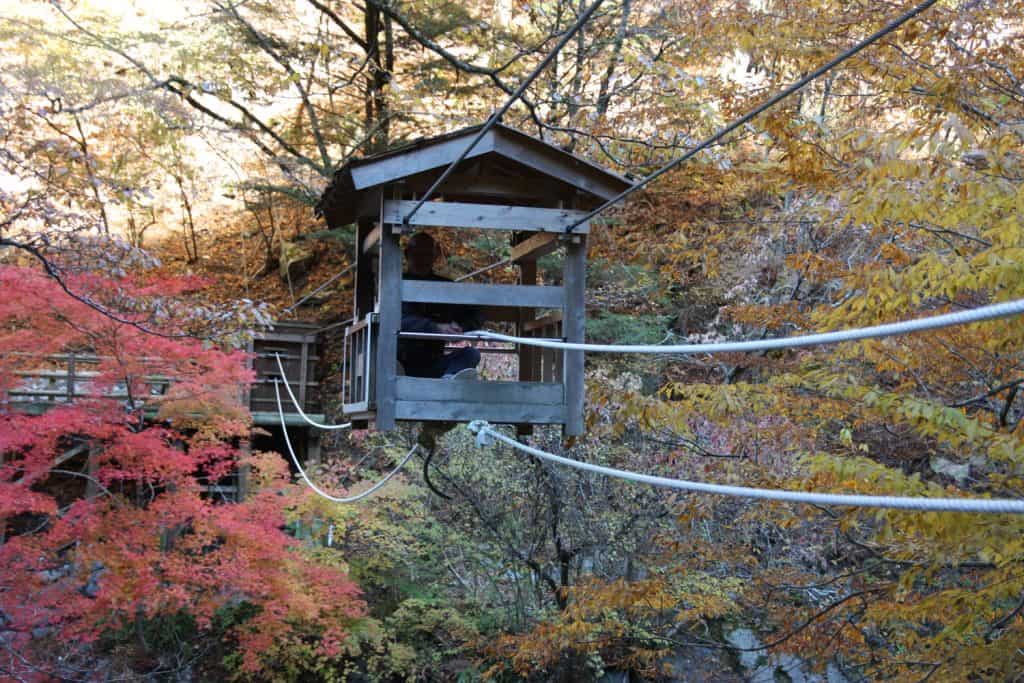 A Shikoku guide: wild beauty and cultural wealth in the eastern part of the island