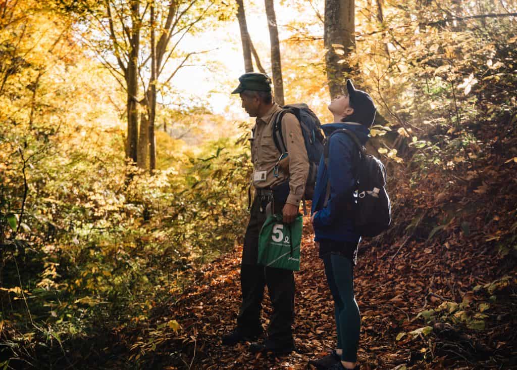 enjoying the autumn leaves on the shinetsu trail near iiyama