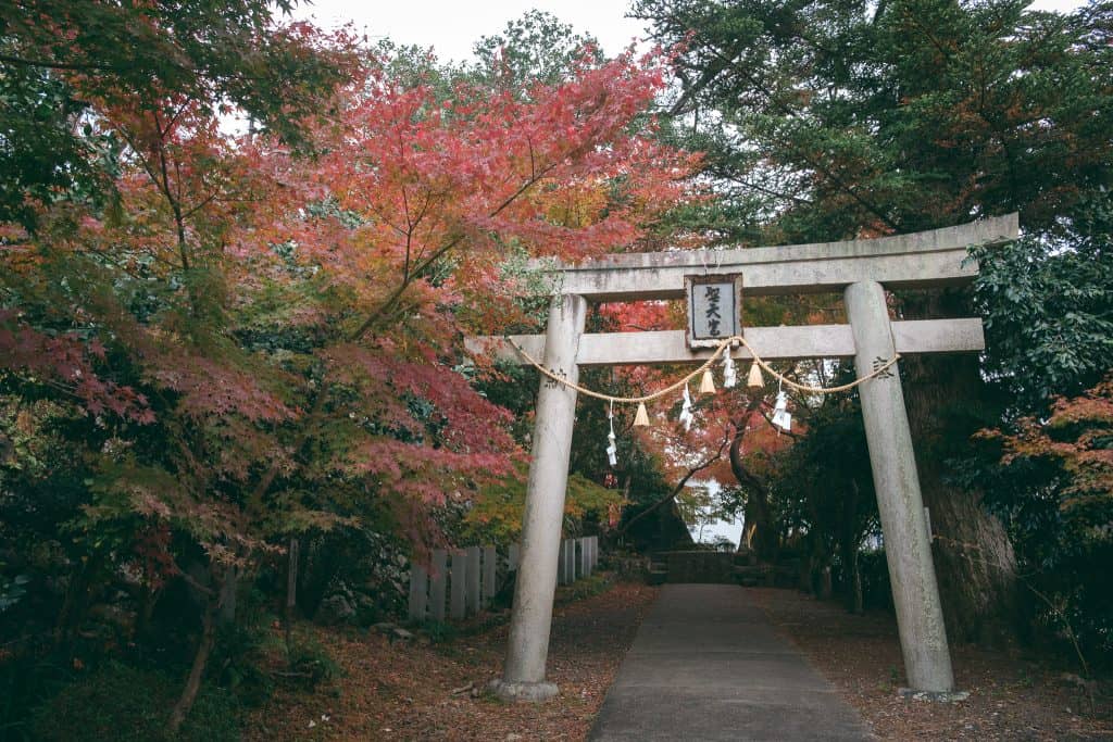 torii gate with autumn leaves
