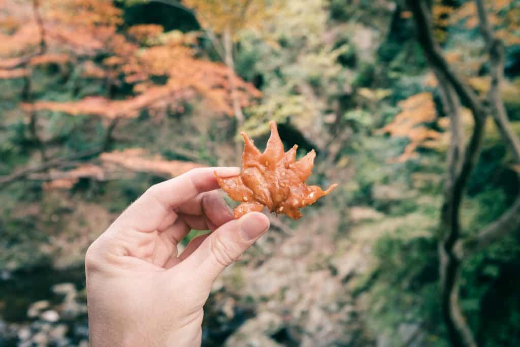 person holding momiji tempura