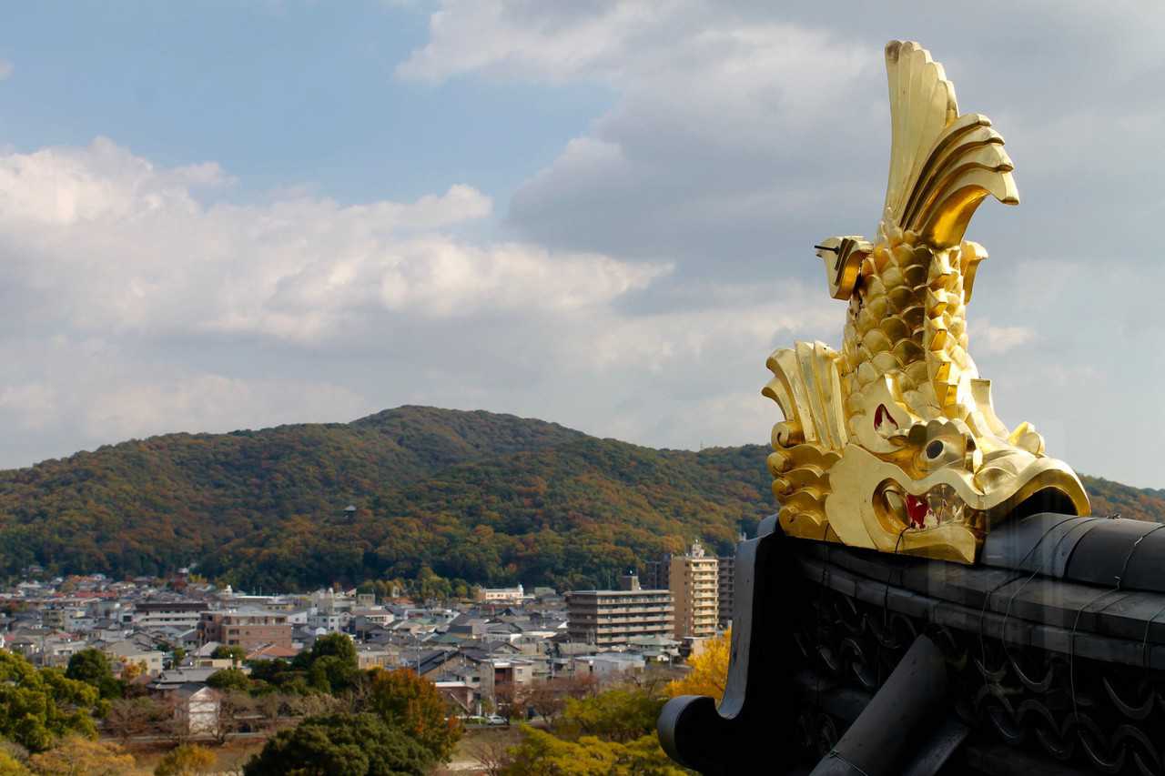 Korakuen Garden and Okayama Castle Fall Foliage